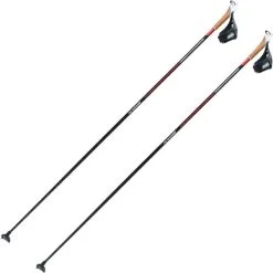 SWIX QUANTUM FOUR 22